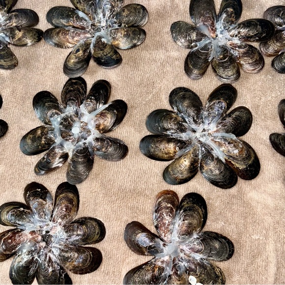 Delicate Shell Flowers - Picture 8 of 8